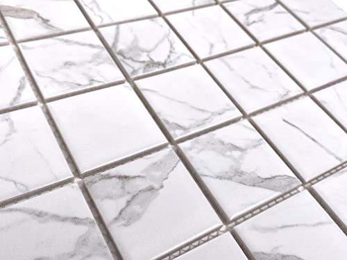 Satori Statuario White & Grey Matte Porcelain Tile