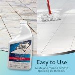 Black Diamond Stoneworks Intensive Tile Cleaner, 1 Quart