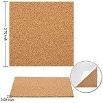 24 Pack White Unglazed Ceramic Craft Tiles