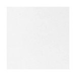 30 Pack 4x4 Inch Blank Ceramic Coasters