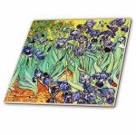 Vincent Van Gogh Irises Ceramic Shower Floor Tile