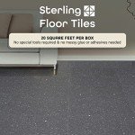 Sterling Self Adhesive 12-Inch Vinyl Floor Tiles, 20 Tiles - 12" x 12", Black Speckled Granite Pattern - Peel & Stick, DIY Flooring for Kitchen, Dining Room, Bedrooms & Bathrooms by Achim Home Decor