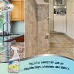 Black Diamond Stoneworks GRANITE PLUS! 2 in 1 Cleaner & Sealer for Granite, Marble, Travertine, Limestone, Ready to Use! 32 Fl Oz