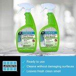 STONETECH Mold & Mildew Stain Remover, Cleaner for Natural Stone, 24-Ounce (.710L) Spray Bottle, 2-pack