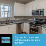 STONETECH Mold & Mildew Stain Remover, Cleaner for Natural Stone, 24-Ounce (.710L) Spray Bottle, 2-pack