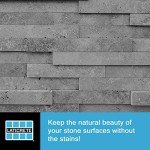 STONETECH Mold & Mildew Stain Remover, Cleaner for Natural Stone, 24-Ounce (.710L) Spray Bottle, 2-pack