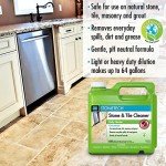 STONETECH Stone & Tile Cleaner, 1 Gallon (3.8L) Bottle