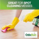 OdoBan Ready-to-Use Luxury Vinyl Floor Cleaner, Streak Free and Neutral PH Formula, 32 Oz Spray and 1 Gallon Jug, Scentless