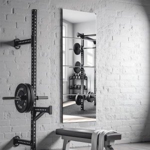 Delma Frameless Mirror Tiles 12"x10"x4 Pcs Wall Mounted, Shatter Resistant Full Length Tempered Glass Panels for Home Gym Bathroom Bedroom & Living Room Decor
