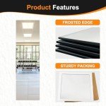 Delma Frameless Mirror Tiles 12"x10"x4 Pcs Wall Mounted, Shatter Resistant Full Length Tempered Glass Panels for Home Gym Bathroom Bedroom & Living Room Decor