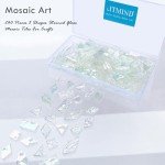 LITMIND Iridescent Texture Transparent Stained Glass Mosaic Tiles for Crafts - 240 Pieces, 5 Shapes Mixed (Rectangle, Triangle, Rhombus, Square, Leaf) - Ideal for Mosaic Making Projects and Beginners