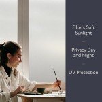 Artscape Etched Glass | Decorative Privacy Window Film with Etched Frosted Glass Pattern | Non-Adhesive & UV Protection | Easy to Apply & Removable | 24 x 36 Inches | Made in USA