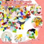 Mosaic Glass Pieces Tiles for Adults: LATIIZ 320Pcs Rainbow Color Mixed 5 Shapes Stained Glass Bulk for Beginner Artist - Mosaics Kit for Making Art Project Craft DIY Lamp Vase Coaster Stepping Stone