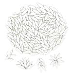 Leaf Petal Ceramic Mosaic Tiles for Crafts, 500g/1.1LB Irregular Mosaic Pieces, Petal Mosaic Tiles DIY Mosaic Making Stones for Craft Hobby Arts Wall Decoration (White)