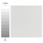 Merola Tile Revival White 7-3/4" x 7-3/4" Ceramic Floor and Wall Tile Sample