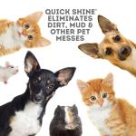 Quick Shine Hard Surface Pet Floor Cleaner 27 oz, 2Pk | Ready to Use, Removes Dirt, Streak Free, No Rinse | Hardwood, Laminate, Luxury Vinyl Plank LVT, & Tile | Safer for Kids, Pets & Our Environment