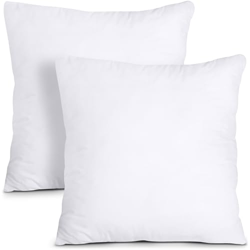 Utopia Bedding Decorative Throw Pillow Inserts - 20x20