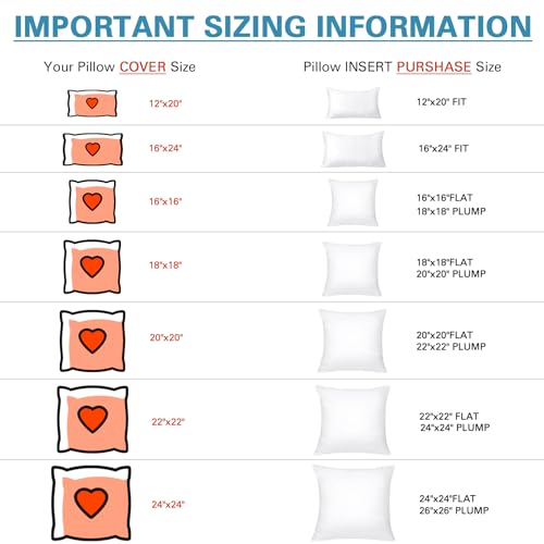 Premium 20x20 Inch Throw Pillow Inserts Set of 4