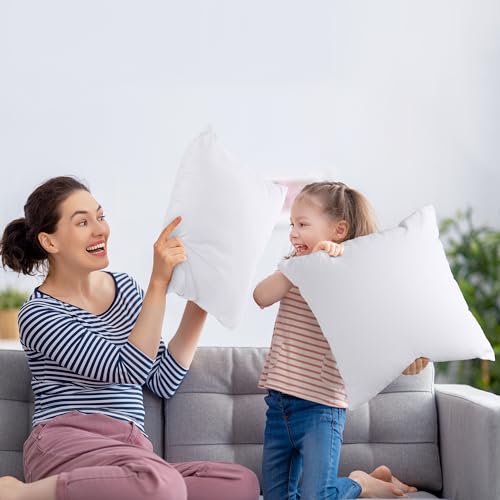 Utopia Bedding Decorative Throw Pillow Inserts - 20x20