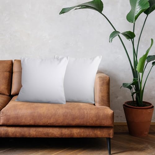 Utopia Bedding Decorative Throw Pillow Inserts - 20x20