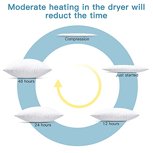 Premium 20x20 Inch Throw Pillow Inserts Set of 4