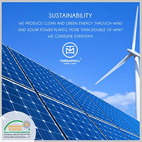 Light Blue Egyptian Cotton Queen Sheet Set