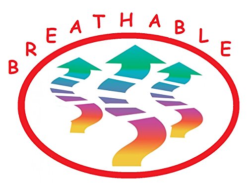 Luxury 1500 Thread Count Microfiber Queen Sheet Set