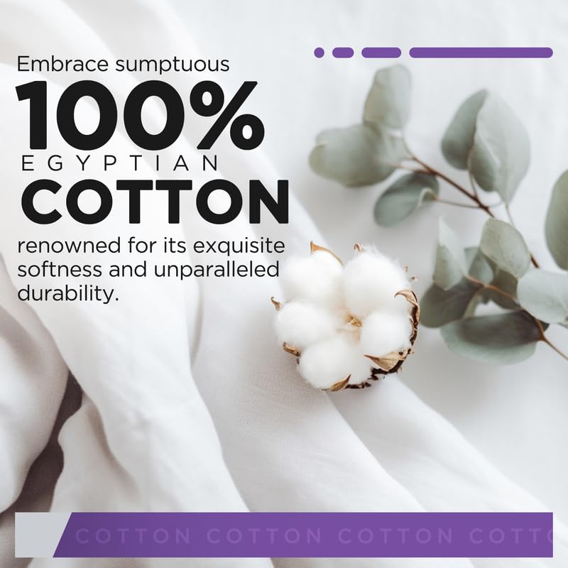 CharlottelyHues Luxury 1000TC Egyptian Cotton Queen Bed Set
