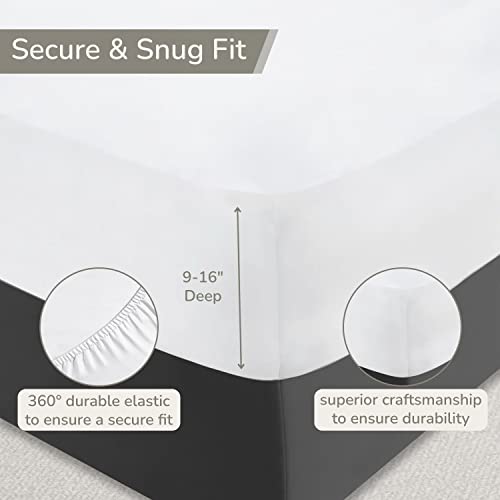 Luxury 1000 Thread Count Egyptian Cotton Queen Bed Set