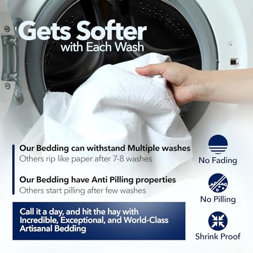 Luxury Egyptian Cotton King Pillowcases Set of 2