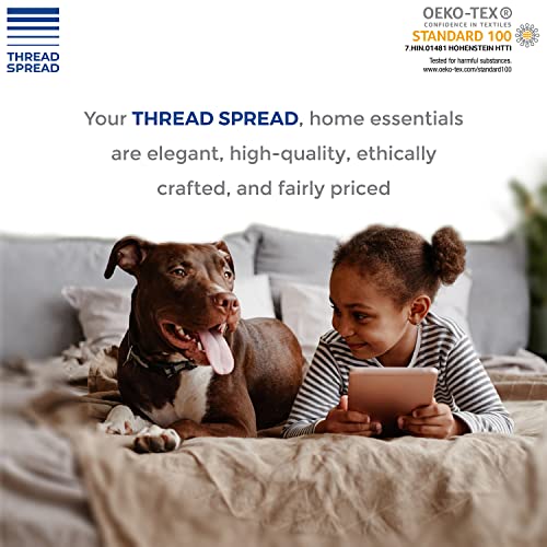 Luxury Egyptian Cotton Queen Stripe Bed Set