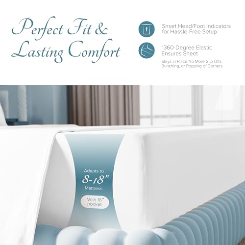 Carressa 100% Egyptian Cotton Queen Sheet Set