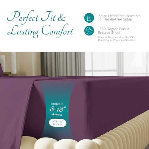 Luxury Plum 800 Thread Count Cotton Sheet Set