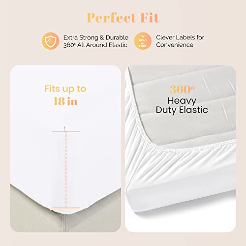 Ashton 100% Egyptian Cotton Queen Sheet Set