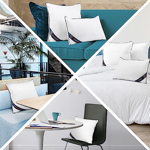 Pack of 4 White Throw Pillow Inserts 12x20