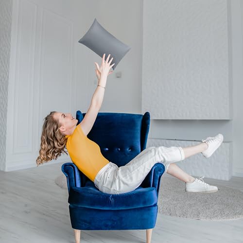 Grey Throw Pillow Inserts - Pack of 2