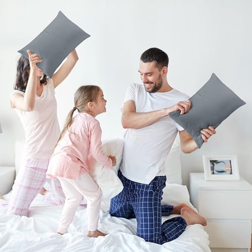 Grey Throw Pillow Inserts - Pack of 2