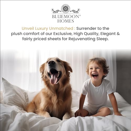 Luxury Egyptian Cotton Queen Sheet Set - Ivory