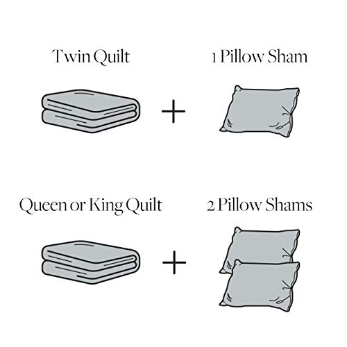 Ocean Explorer Twin Quilt Set with Sham