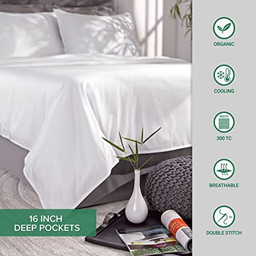 Organic Bamboo Queen Bed Sheet Set - Sea Glass