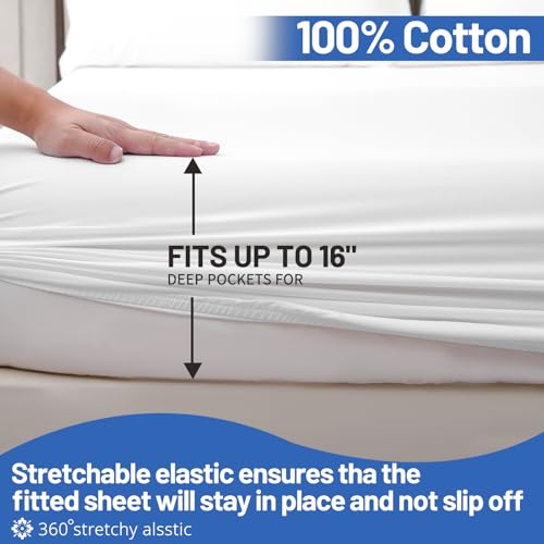 Luxury 400 Thread Count Egyptian Cotton Queen Sheets