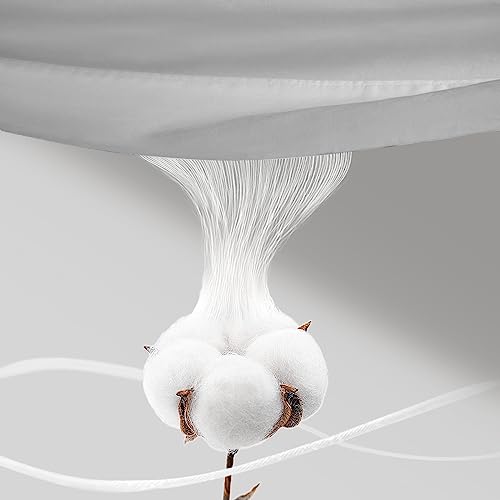 Premium 100% Egyptian Cotton Queen Sheet Set