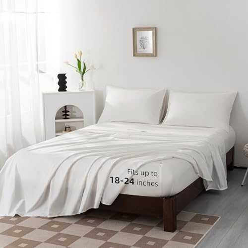 Levoo 100% Egyptian Cotton King Sheet Set