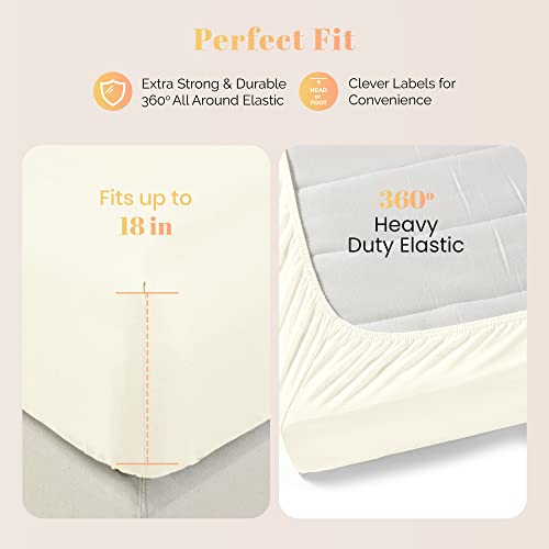Ashton 800 Thread Count Egyptian Cotton Queen Sheets