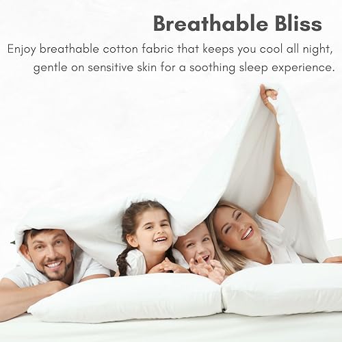 Luxury 1000 Thread Count Egyptian Cotton Queen Sheet Set