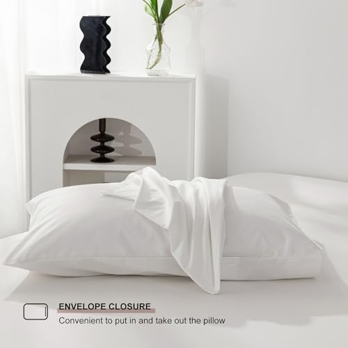 Levoo 100% Egyptian Cotton King Sheet Set