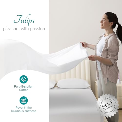 Carressa Luxury Egyptian Cotton King Bed Sheet Set