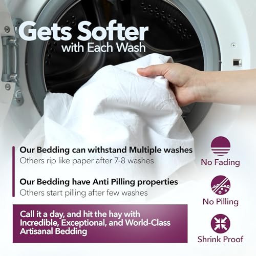 Luxury 100% Egyptian Cotton Queen Sheet Set