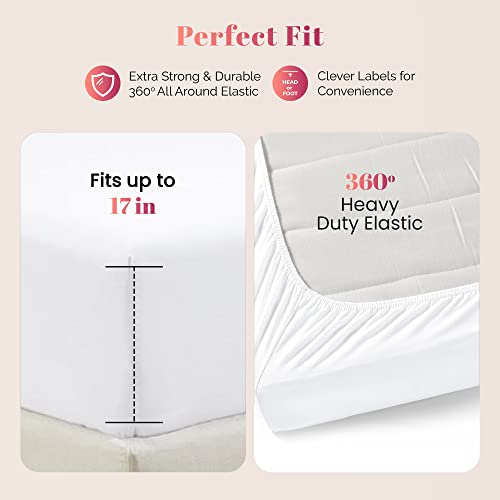 Ashton 1000 Thread Count Egyptian Cotton Queen Sheets