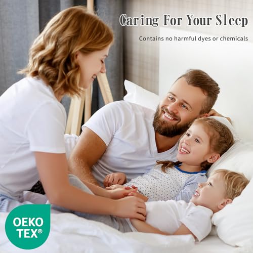 Shilucheng King Size Cooling Bed Sheet Set